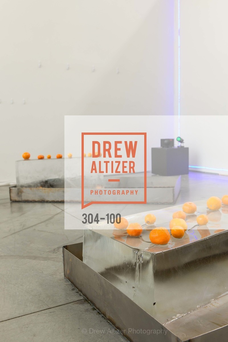 Extras, Gala Vernissage & Varnished The After Party Presented by SFAI, May 14th, 2015, Photo,Drew Altizer, Drew Altizer Photography, full-service event agency, private events, San Francisco photographer, photographer California