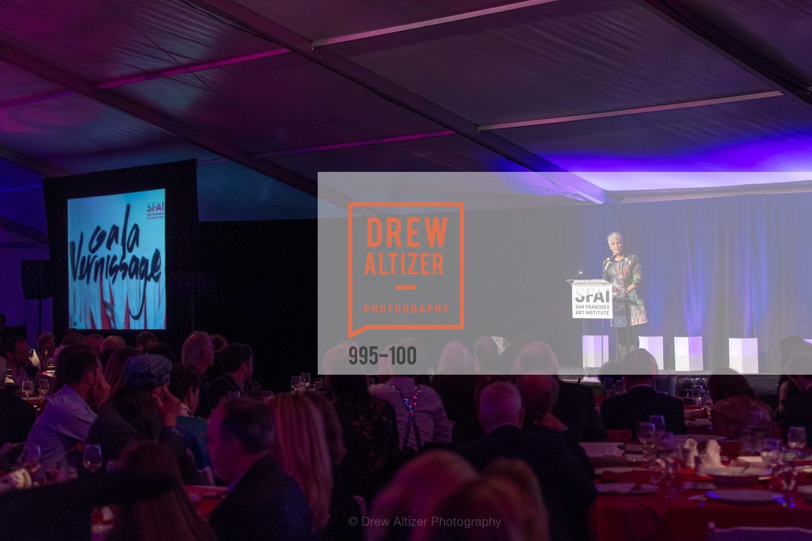 Dana King, Gala Vernissage & Varnished The After Party Presented by SFAI, Fort Mason. Pier 2, May 14th, 2015,Drew Altizer, Drew Altizer Photography, full-service agency, private events, San Francisco photographer, photographer california