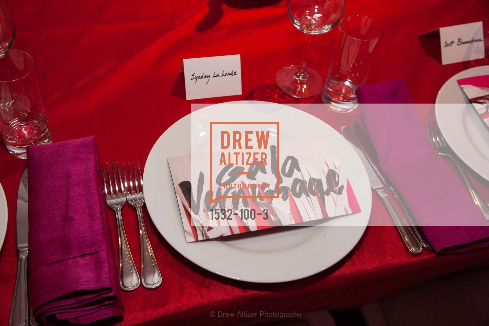 Extras, Gala Vernissage & Varnished The After Party Presented by SFAI, May 14th, 2015, Photo,Drew Altizer, Drew Altizer Photography, full-service agency, private events, San Francisco photographer, photographer california