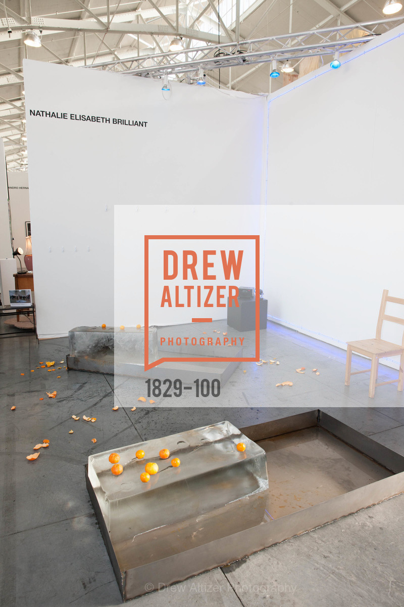 Extras, Gala Vernissage & Varnished The After Party Presented by SFAI, May 14th, 2015, Photo,Drew Altizer, Drew Altizer Photography, full-service agency, private events, San Francisco photographer, photographer california