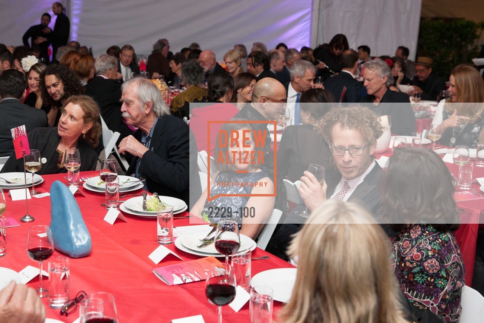 Marjorie Swig, Gala Vernissage & Varnished The After Party Presented by SFAI, Fort Mason. Pier 2, May 14th, 2015,Drew Altizer, Drew Altizer Photography, full-service agency, private events, San Francisco photographer, photographer california