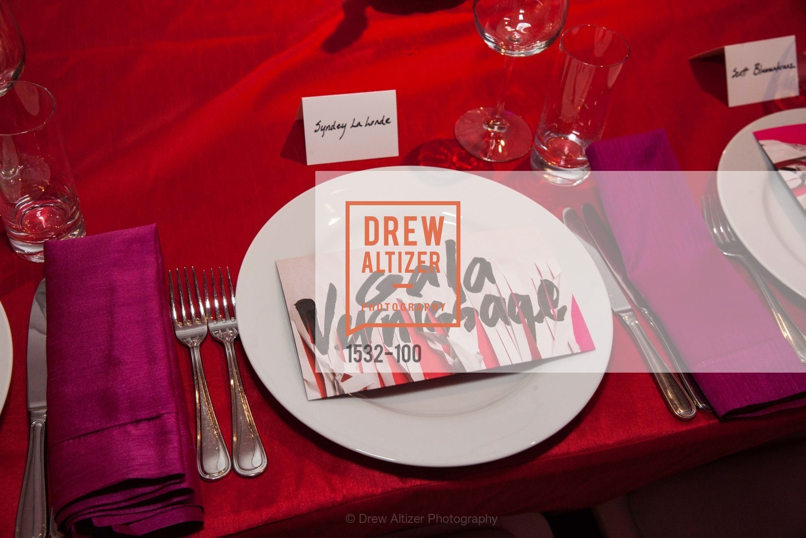 Extras, Gala Vernissage & Varnished The After Party Presented by SFAI, May 14th, 2015, Photo,Drew Altizer, Drew Altizer Photography, full-service agency, private events, San Francisco photographer, photographer california