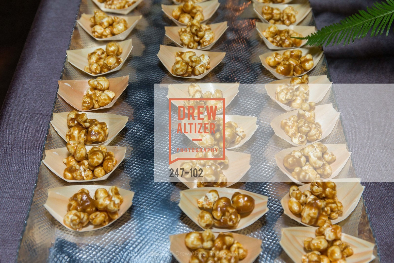 atmosphere, Sierra Club Trail Blazers Ball, May 13th, 2015, Photo,Drew Altizer, Drew Altizer Photography, full-service agency, private events, San Francisco photographer, photographer california