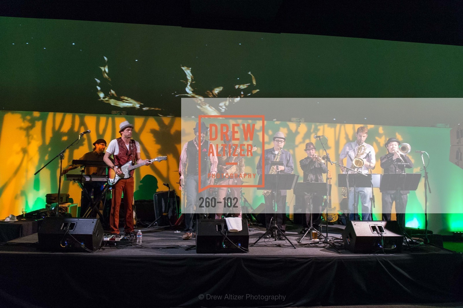 Performance, Sierra Club Trail Blazers Ball, CityView Metreon. 135 4th St, May 13th, 2015,Drew Altizer, Drew Altizer Photography, full-service agency, private events, San Francisco photographer, photographer california