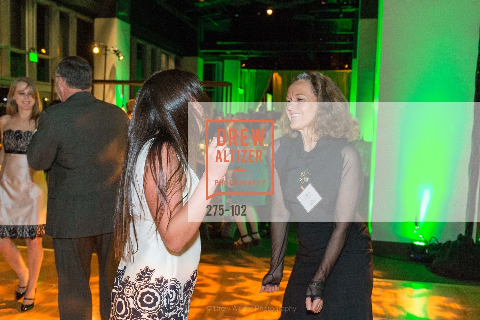 Lisa Renstrom, Sierra Club Trail Blazers Ball, CityView Metreon. 135 4th St, May 13th, 2015,Drew Altizer, Drew Altizer Photography, full-service event agency, private events, San Francisco photographer, photographer California