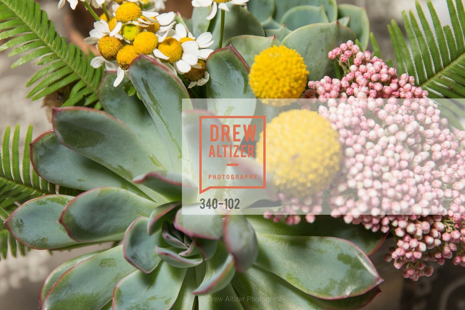 Atmosphere, Sierra Club Trail Blazers Ball, CityView Metreon. 135 4th St, May 13th, 2015,Drew Altizer, Drew Altizer Photography, full-service agency, private events, San Francisco photographer, photographer california