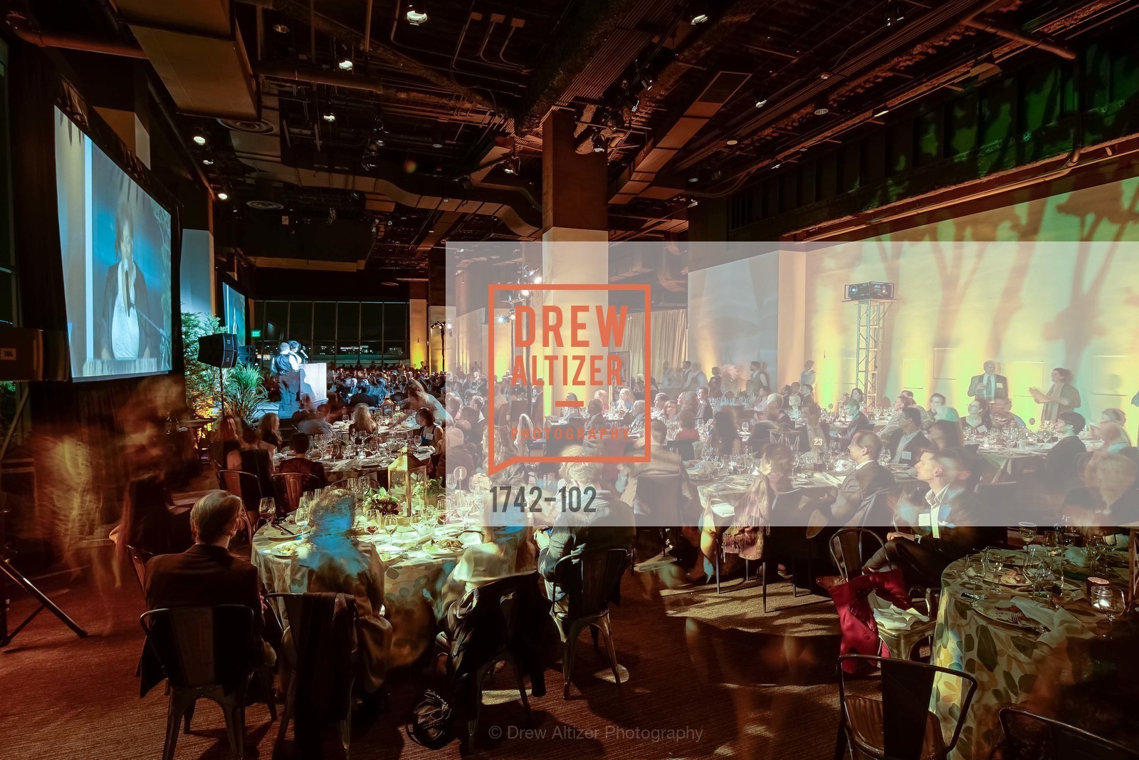Extras, Sierra Club Trail Blazers Ball, May 13th, 2015, Photo,Drew Altizer, Drew Altizer Photography, full-service agency, private events, San Francisco photographer, photographer california