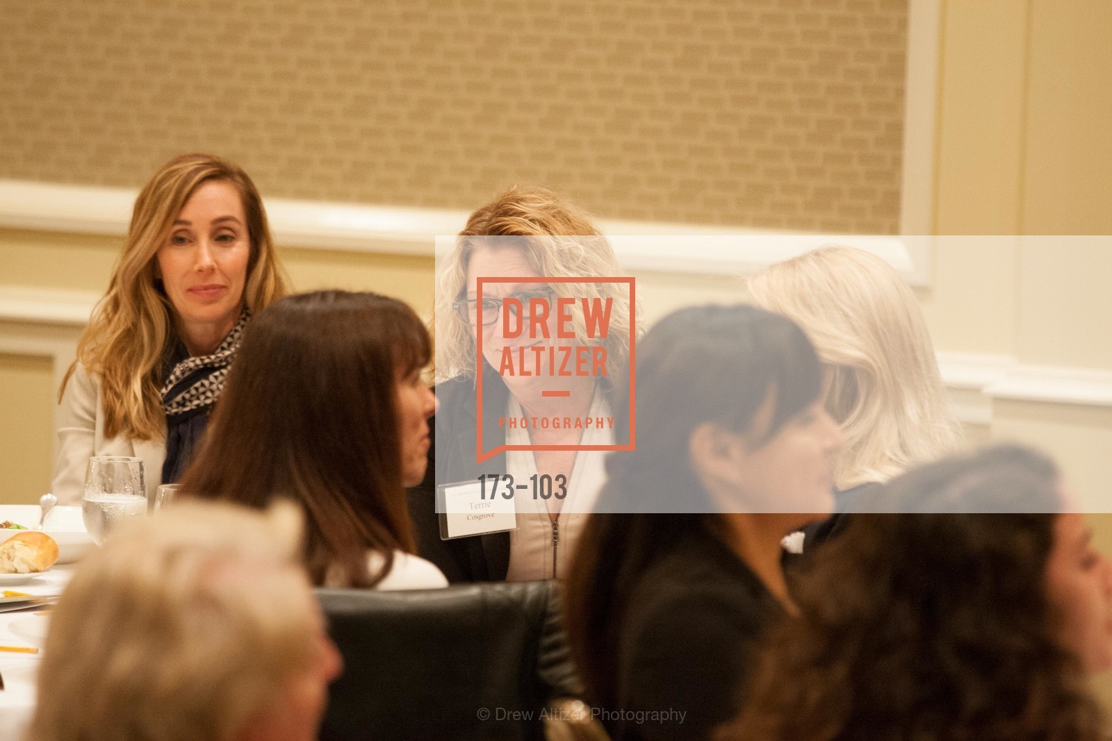 Terrie Cosgrove, USF's Women in Leadership & Philanthropy Luncheon, Four Seasons. 757 Market St, San Francisco, CA, May 14th, 2015,Drew Altizer, Drew Altizer Photography, full-service agency, private events, San Francisco photographer, photographer california