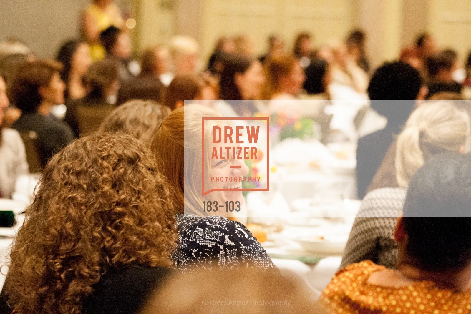 Extras, USF's Women in Leadership & Philanthropy Luncheon, May 14th, 2015, Photo,Drew Altizer, Drew Altizer Photography, full-service agency, private events, San Francisco photographer, photographer california