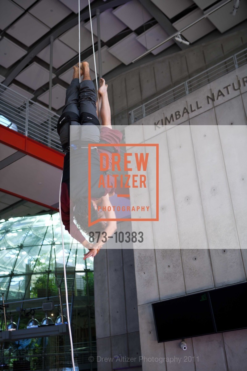 Performance By Project Bandaloop, CALIFORNIA ACADEMY OF SCIENCES 25th Annual Big Bang Gala, US, May 6th, 2011, Photo #873-10383 Performance By Project Bandaloop, Photo #873-10383