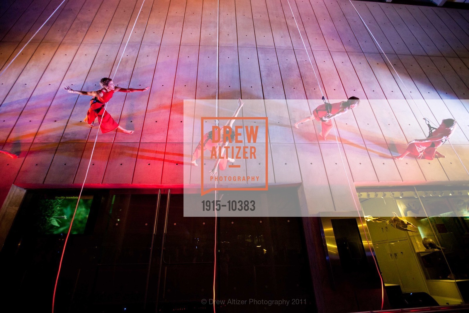 Performance By Project Bandaloop, CALIFORNIA ACADEMY OF SCIENCES 25th Annual Big Bang Gala, US, May 6th, 2011,Drew Altizer, Drew Altizer Photography, full-service agency, private events, San Francisco photographer, photographer california