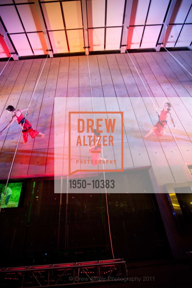 Performance By Project Bandaloop, CALIFORNIA ACADEMY OF SCIENCES 25th Annual Big Bang Gala, US, May 6th, 2011,Drew Altizer, Drew Altizer Photography, full-service agency, private events, San Francisco photographer, photographer california