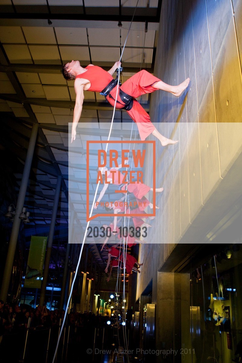 Performance By Project Bandaloop, CALIFORNIA ACADEMY OF SCIENCES 25th Annual Big Bang Gala, US, May 6th, 2011,Drew Altizer, Drew Altizer Photography, full-service agency, private events, San Francisco photographer, photographer california
