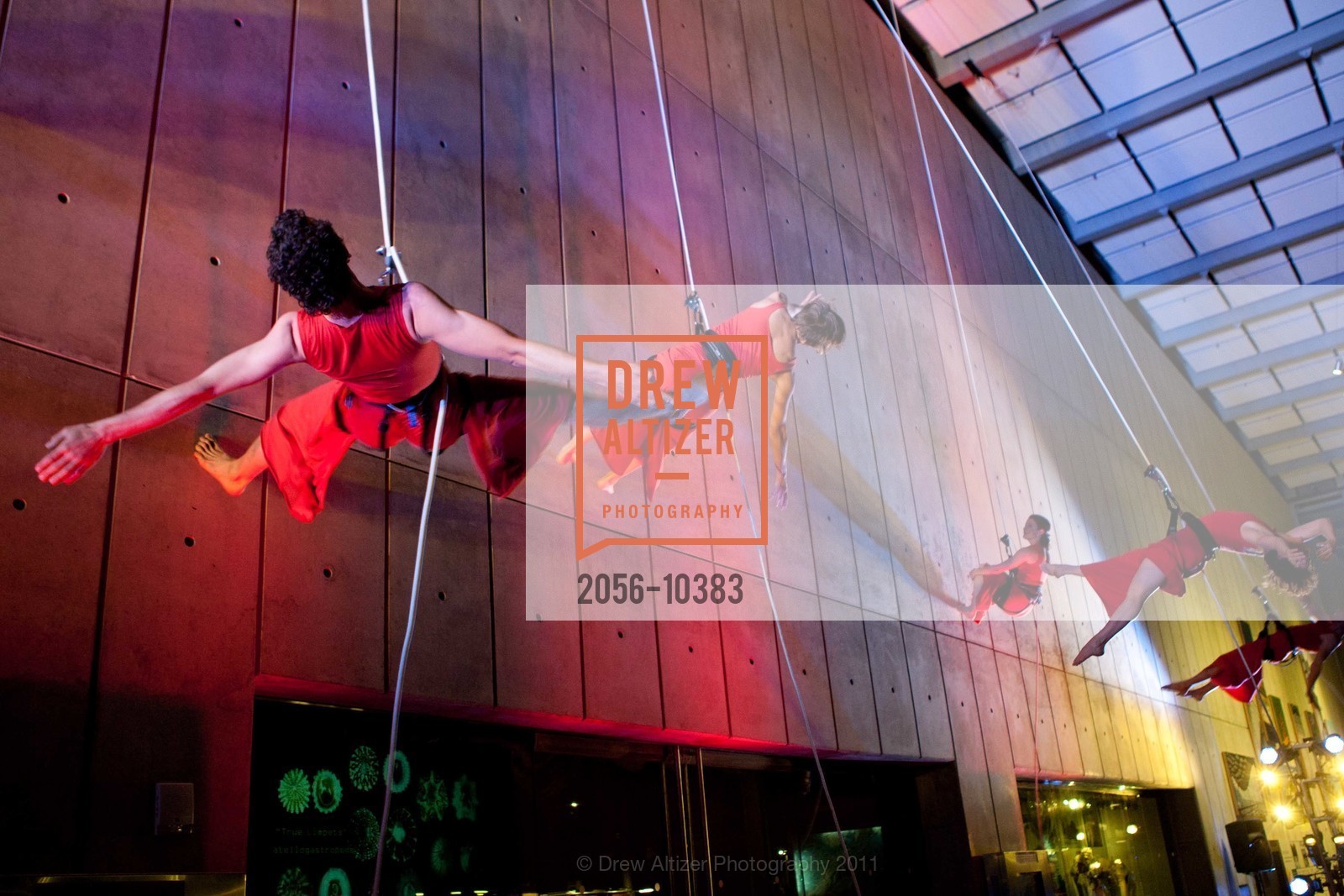 Performance By Project Bandaloop, CALIFORNIA ACADEMY OF SCIENCES 25th Annual Big Bang Gala, US, May 6th, 2011