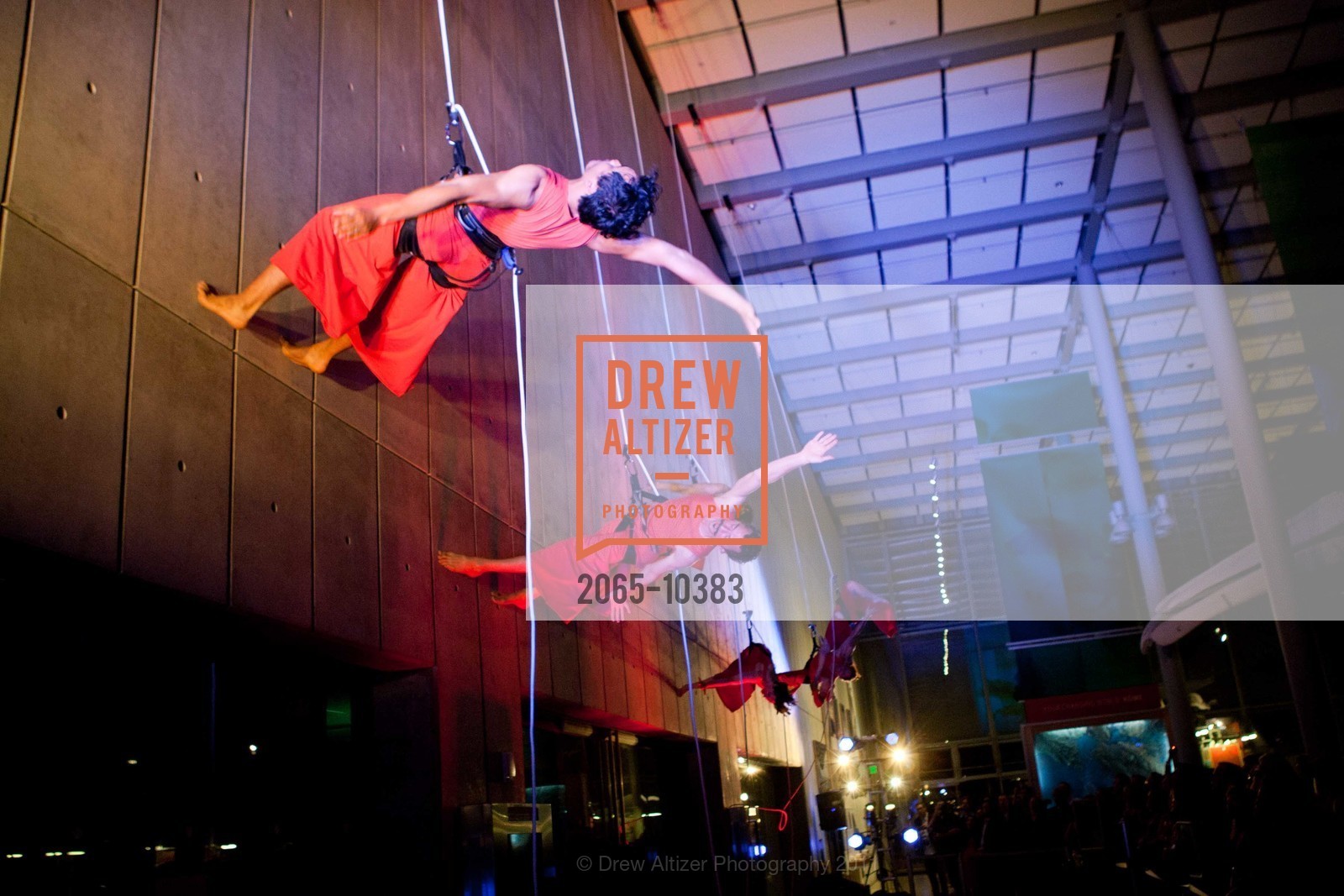 Performance By Project Bandaloop, CALIFORNIA ACADEMY OF SCIENCES 25th Annual Big Bang Gala, US, May 6th, 2011