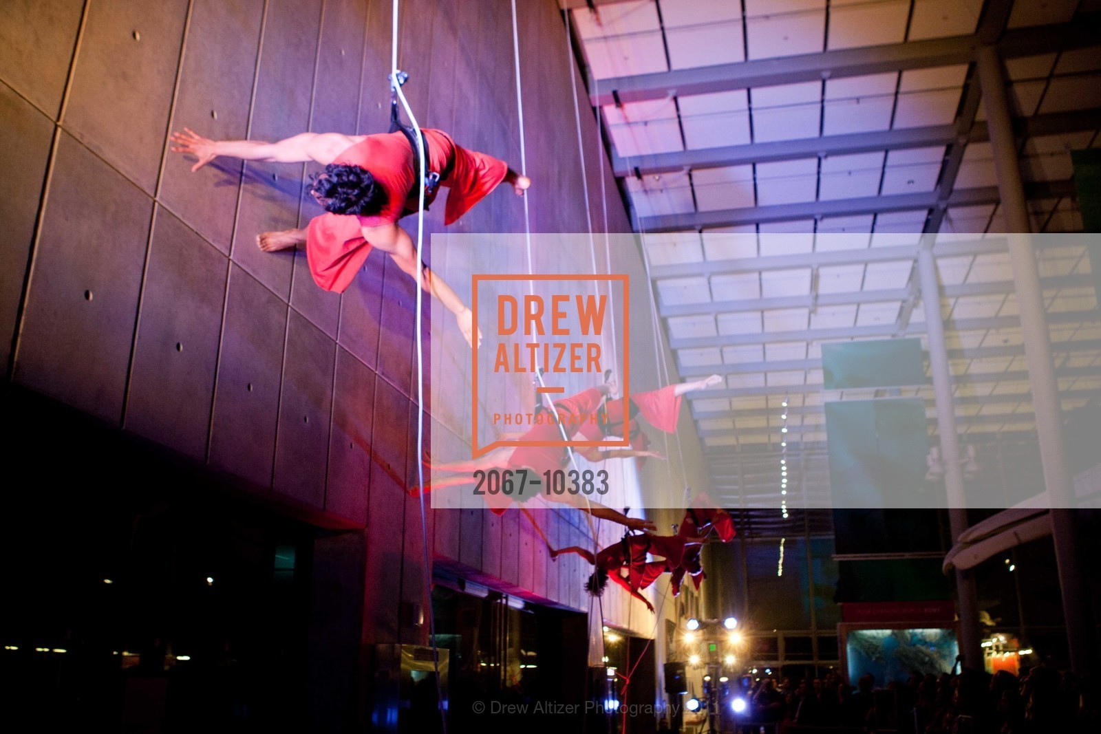Performance By Project Bandaloop, CALIFORNIA ACADEMY OF SCIENCES 25th Annual Big Bang Gala, US, May 6th, 2011,Drew Altizer, Drew Altizer Photography, full-service agency, private events, San Francisco photographer, photographer california