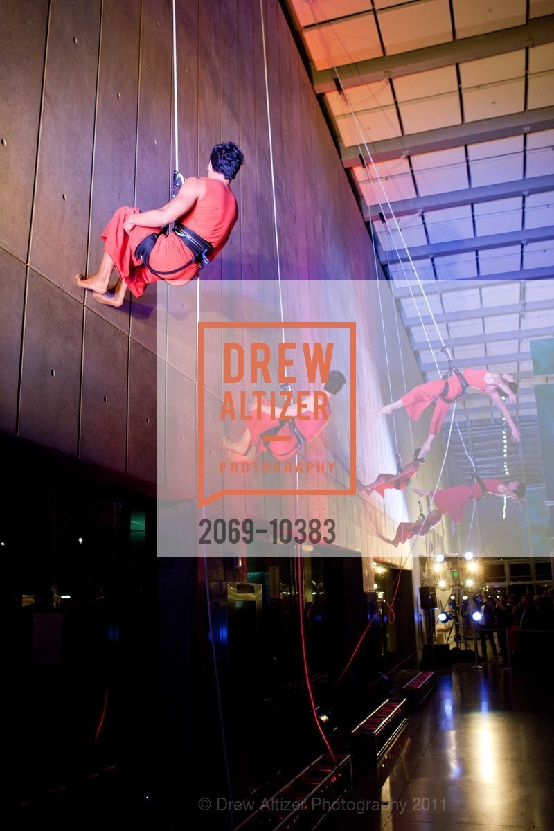 Performance By Project Bandaloop, CALIFORNIA ACADEMY OF SCIENCES 25th Annual Big Bang Gala, US, May 6th, 2011,Drew Altizer, Drew Altizer Photography, full-service agency, private events, San Francisco photographer, photographer california