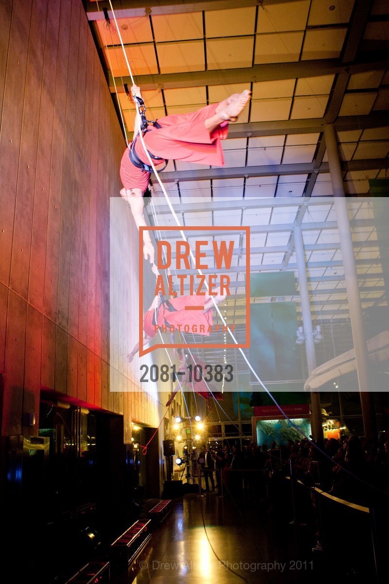 Performance By Project Bandaloop, CALIFORNIA ACADEMY OF SCIENCES 25th Annual Big Bang Gala, US, May 6th, 2011