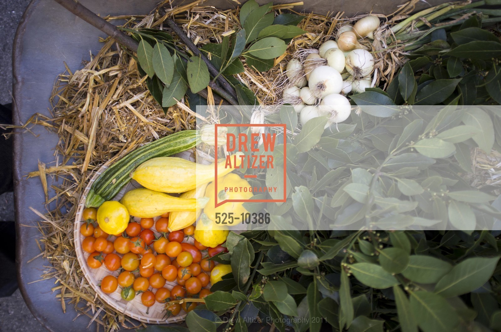 Atmosphere, Levi's + Chez Panisse - School Lunch, August 24th, 2011, Photo