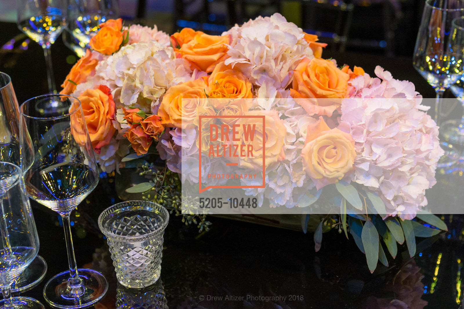 Atmosphere, SF Ballet's Stage Dinner 2018 - Unbound: A Festival of New Works, War Memorial Opera House. 301 Van Ness, April 16th, 2018, Photo #5205-10448 Atmosphere, Photo #5205-10448