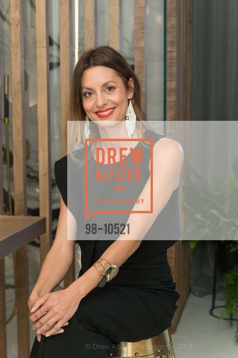 Adele Lapointe, San Francisco Decorator Showcase Sponsors Preview Gala 2018, 465 Marina Blvd. San Francisco, CA 94123. 465 Marina Blvd. San Francisco, CA 94123, April 26th, 2018, Photo #98-10521 Adele Lapointe, Photo #98-10521