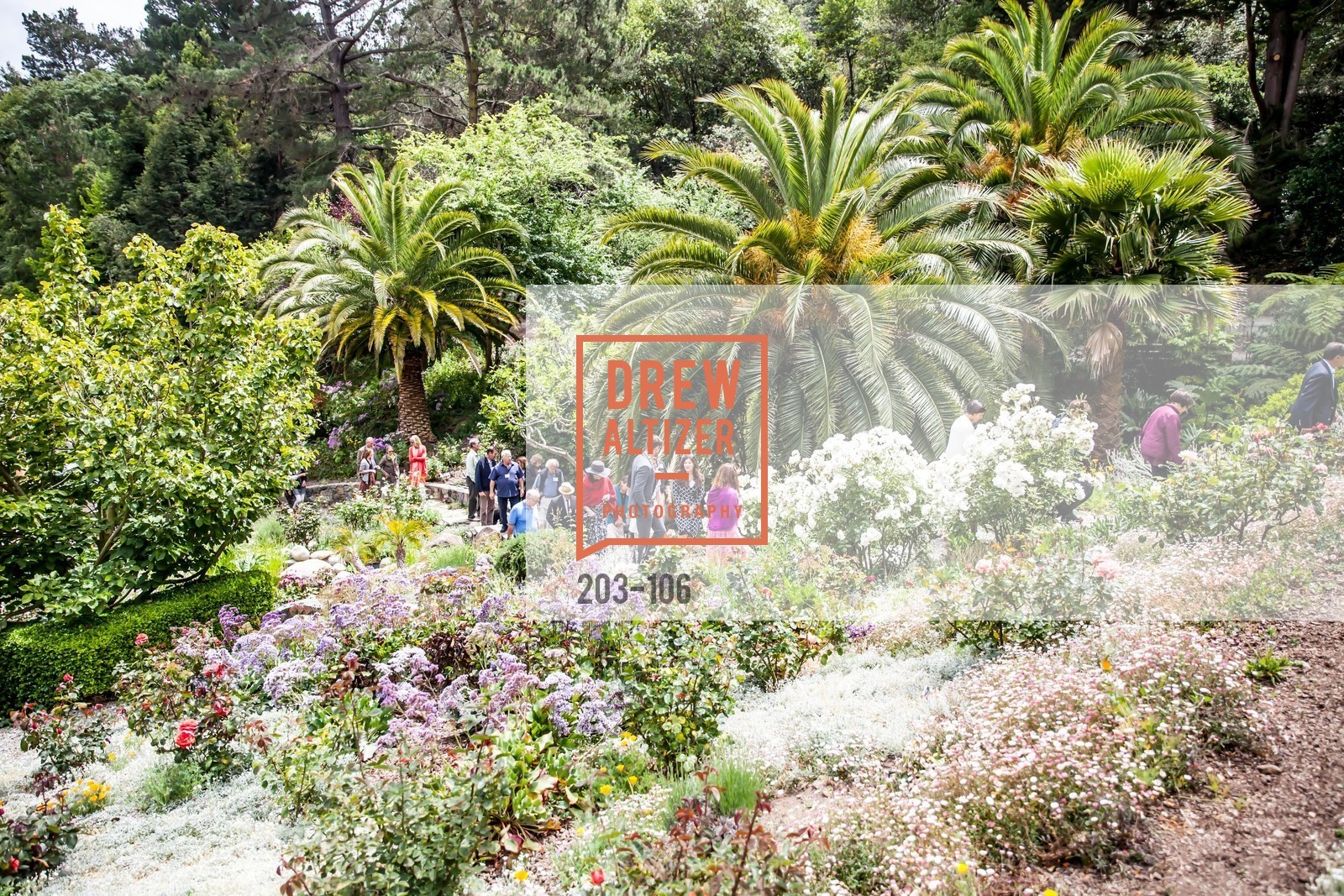 Extras, Trust for Public Land Luncheon hosted by The Drever Family Foundation, May 13th, 2015, Photo,Drew Altizer, Drew Altizer Photography, full-service agency, private events, San Francisco photographer, photographer california
