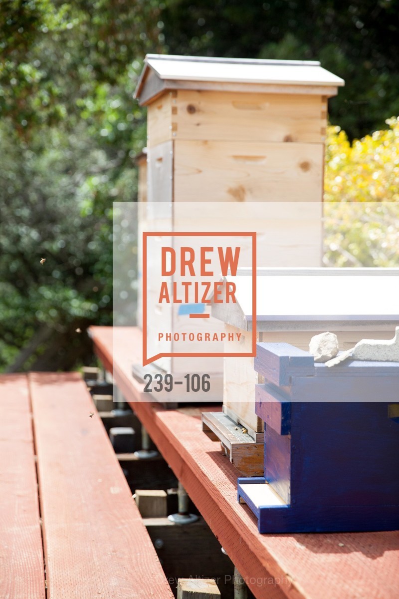 Extras, Trust for Public Land Luncheon hosted by The Drever Family Foundation, May 13th, 2015, Photo,Drew Altizer, Drew Altizer Photography, full-service agency, private events, San Francisco photographer, photographer california