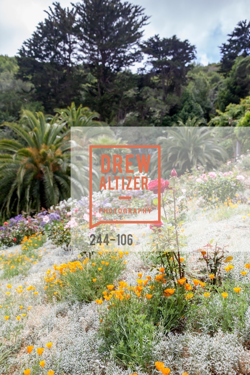 Extras, Trust for Public Land Luncheon hosted by The Drever Family Foundation, May 13th, 2015, Photo,Drew Altizer, Drew Altizer Photography, full-service event agency, private events, San Francisco photographer, photographer California