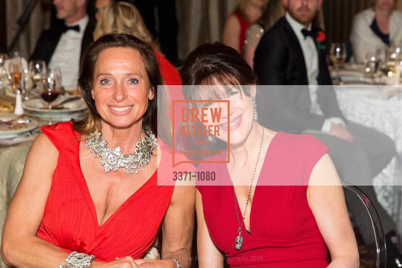 Elisabeth Thieriot, Elaine Mellis, Red Cross Gala, Julia Morgan Ballroom. 465 California St, April 1st, 2016, Photo #3371-1080 Elisabeth Thieriot, Elaine Mellis, Photo #3371-1080