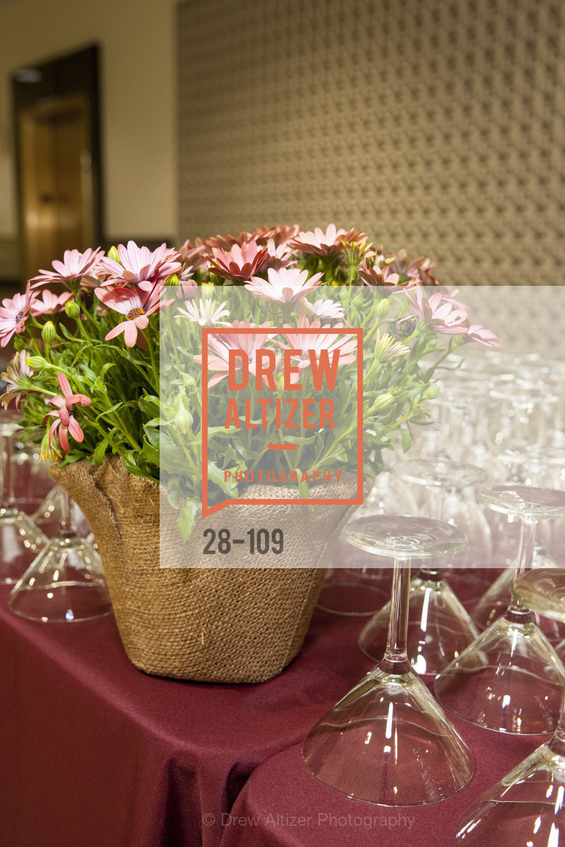 Extras, PANGAEA GLOBAL HEALTH Leadership Dinner at Rotunda in Oakland, May 11th, 2015, Photo,Drew Altizer, Drew Altizer Photography, full-service agency, private events, San Francisco photographer, photographer california