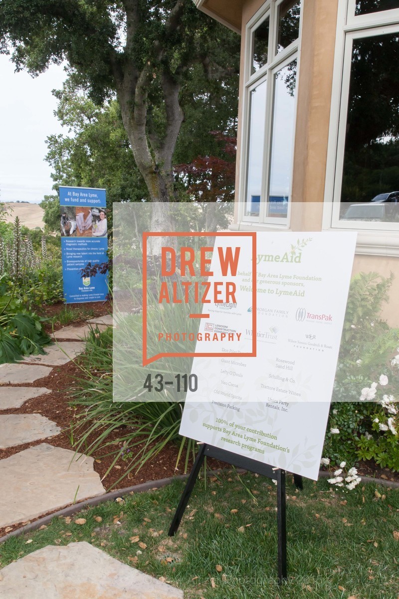atmosphere, LYME AID 2015 Benefiting the Bay Area Lyme Foundation, May 16th, 2015, Photo,Drew Altizer, Drew Altizer Photography, full-service event agency, private events, San Francisco photographer, photographer California