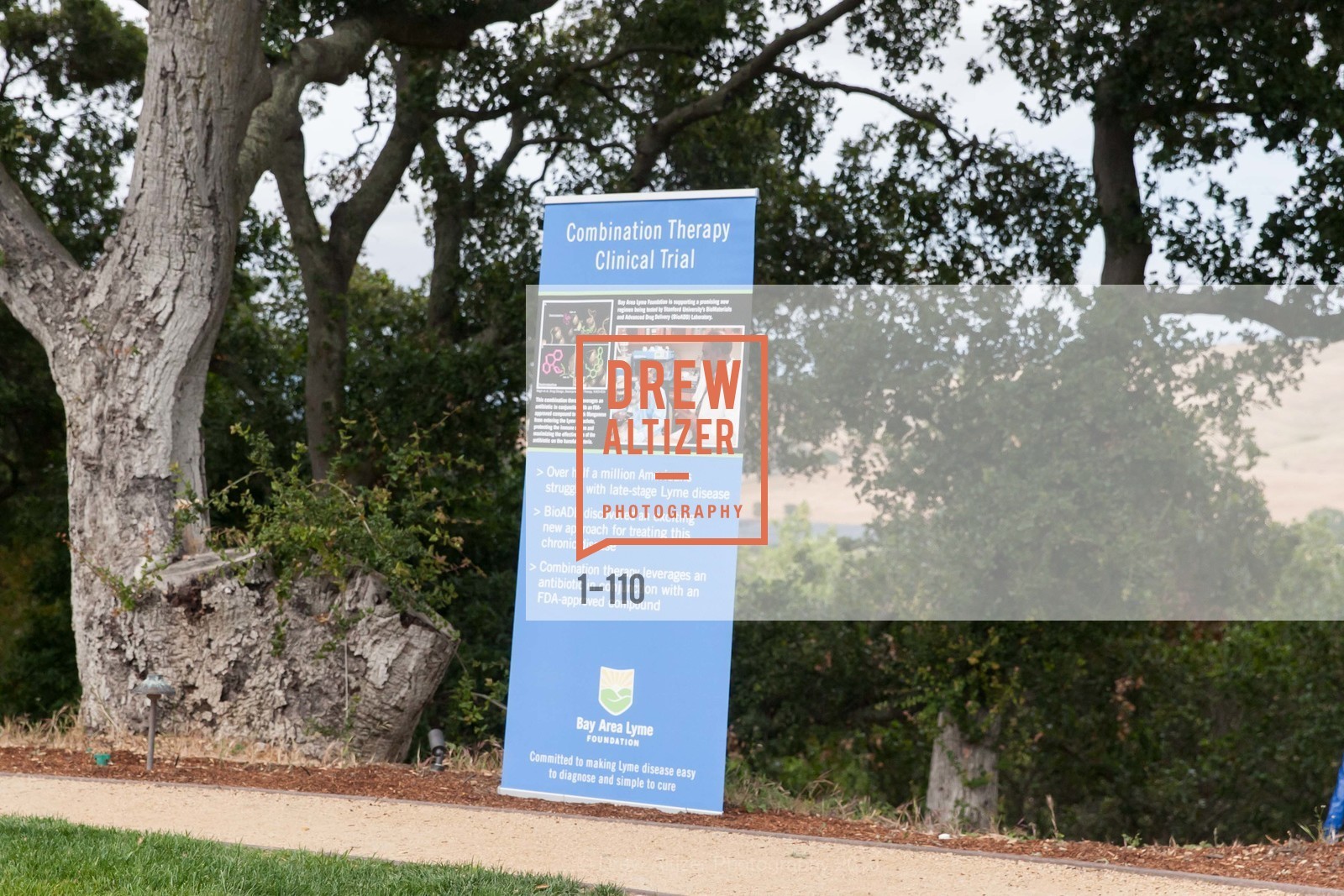 Atmosphere, LYME AID 2015 Benefiting the Bay Area Lyme Foundation, Private Residence, May 16th, 2015,Drew Altizer, Drew Altizer Photography, full-service agency, private events, San Francisco photographer, photographer california