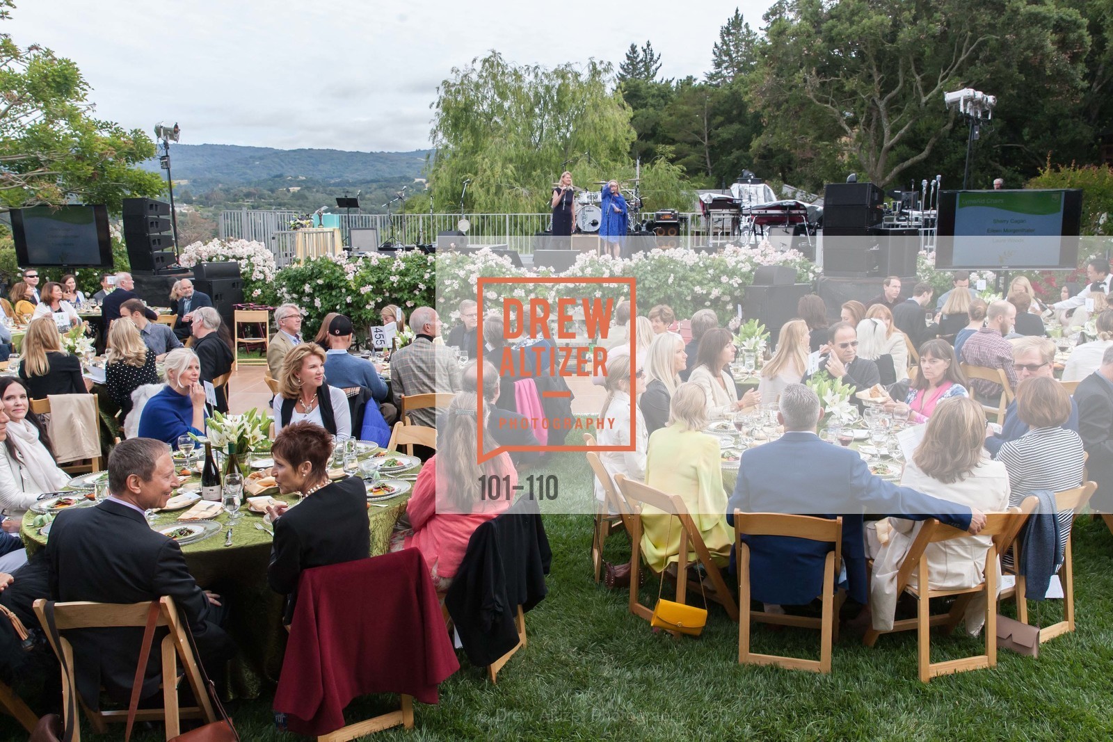 atmosphere, LYME AID 2015 Benefiting the Bay Area Lyme Foundation, May 16th, 2015, Photo,Drew Altizer, Drew Altizer Photography, full-service agency, private events, San Francisco photographer, photographer california