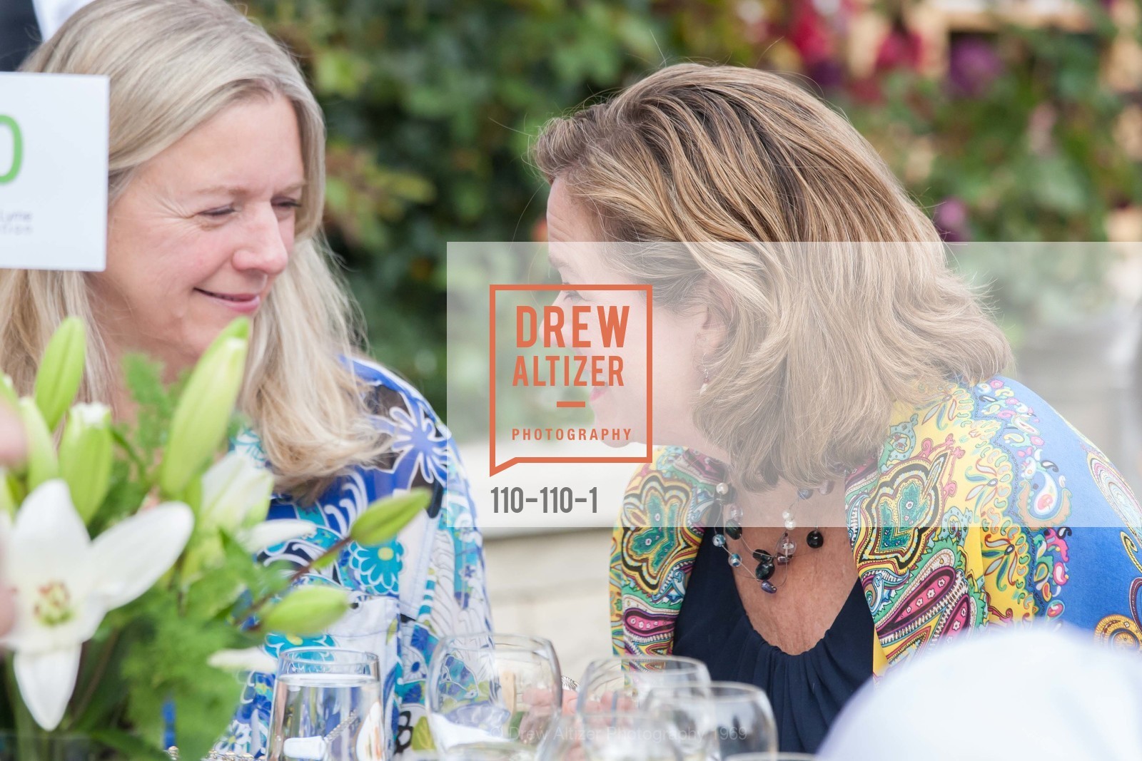 Rhonda Brier, LYME AID 2015 Benefiting the Bay Area Lyme Foundation, Private Residence, May 16th, 2015,Drew Altizer, Drew Altizer Photography, full-service agency, private events, San Francisco photographer, photographer california