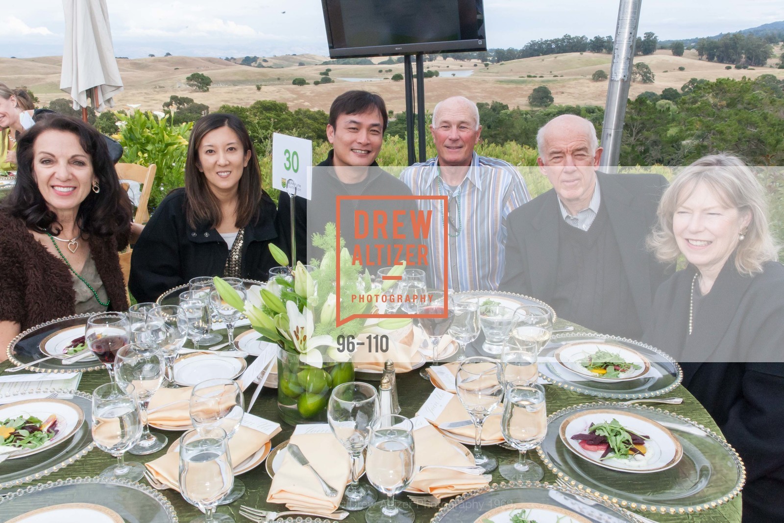 Lee Ann Morris, Karen Fann, Louis Lin, Garth Nystrom, LYME AID 2015 Benefiting the Bay Area Lyme Foundation, Private Residence, May 16th, 2015,Drew Altizer, Drew Altizer Photography, full-service agency, private events, San Francisco photographer, photographer california