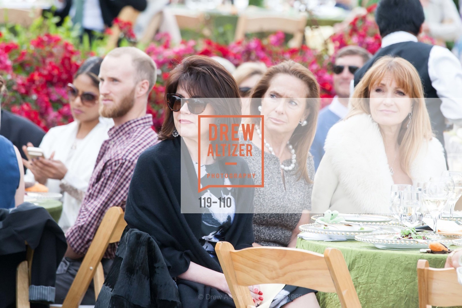 Elaine Mellis, Elisabeth Thieriot, LYME AID 2015 Benefiting the Bay Area Lyme Foundation, Private Residence, May 16th, 2015,Drew Altizer, Drew Altizer Photography, full-service agency, private events, San Francisco photographer, photographer california