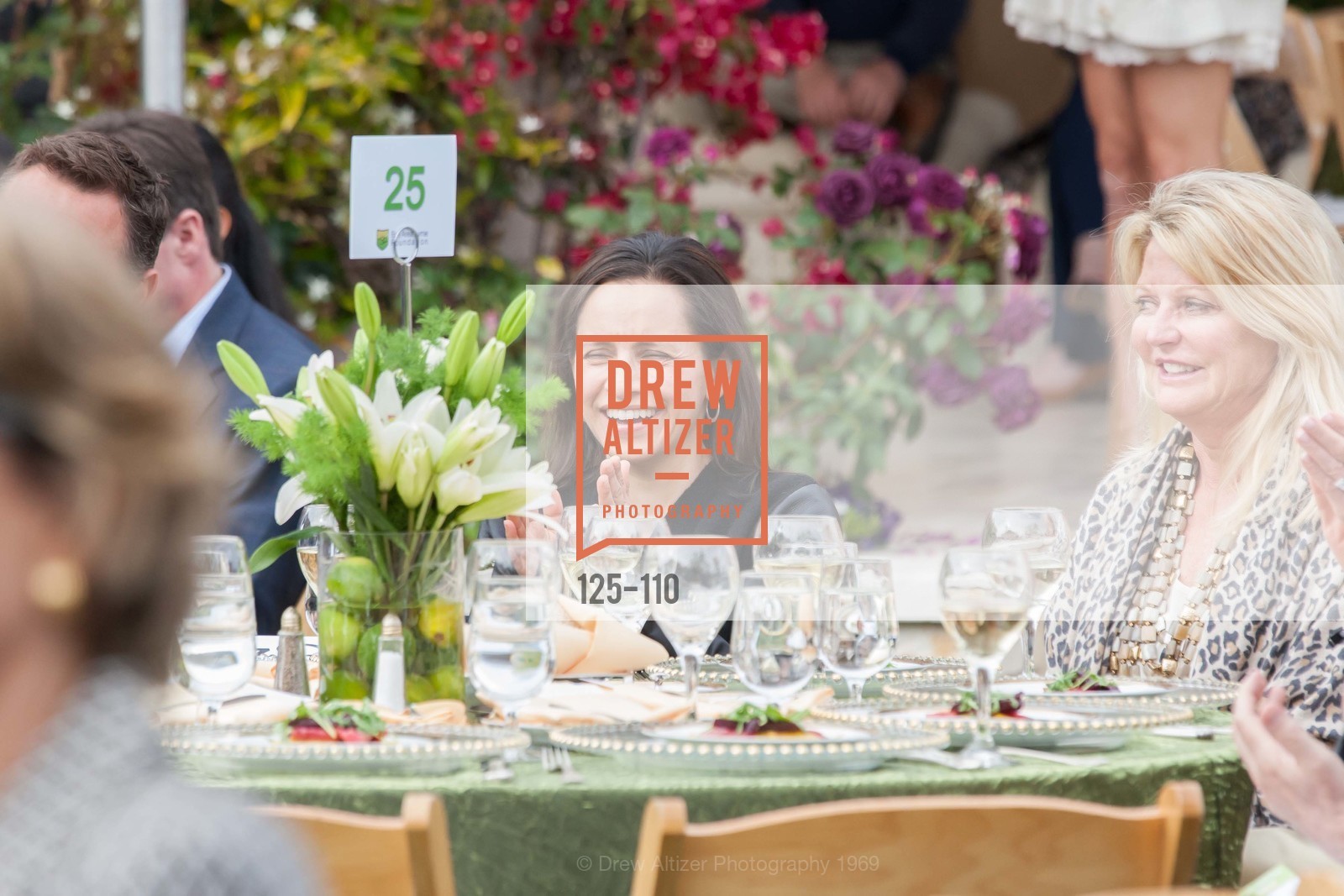 Janet Lees, LYME AID 2015 Benefiting the Bay Area Lyme Foundation, Private Residence, May 16th, 2015,Drew Altizer, Drew Altizer Photography, full-service event agency, private events, San Francisco photographer, photographer California