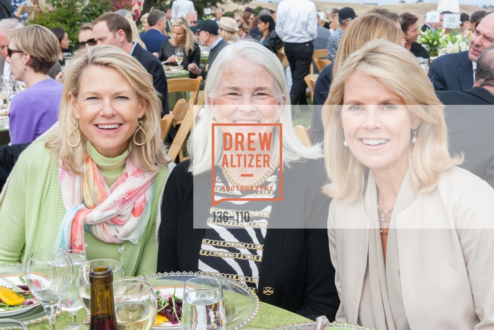 Lauren Koenig, LYME AID 2015 Benefiting the Bay Area Lyme Foundation, Private Residence, May 16th, 2015,Drew Altizer, Drew Altizer Photography, full-service event agency, private events, San Francisco photographer, photographer California