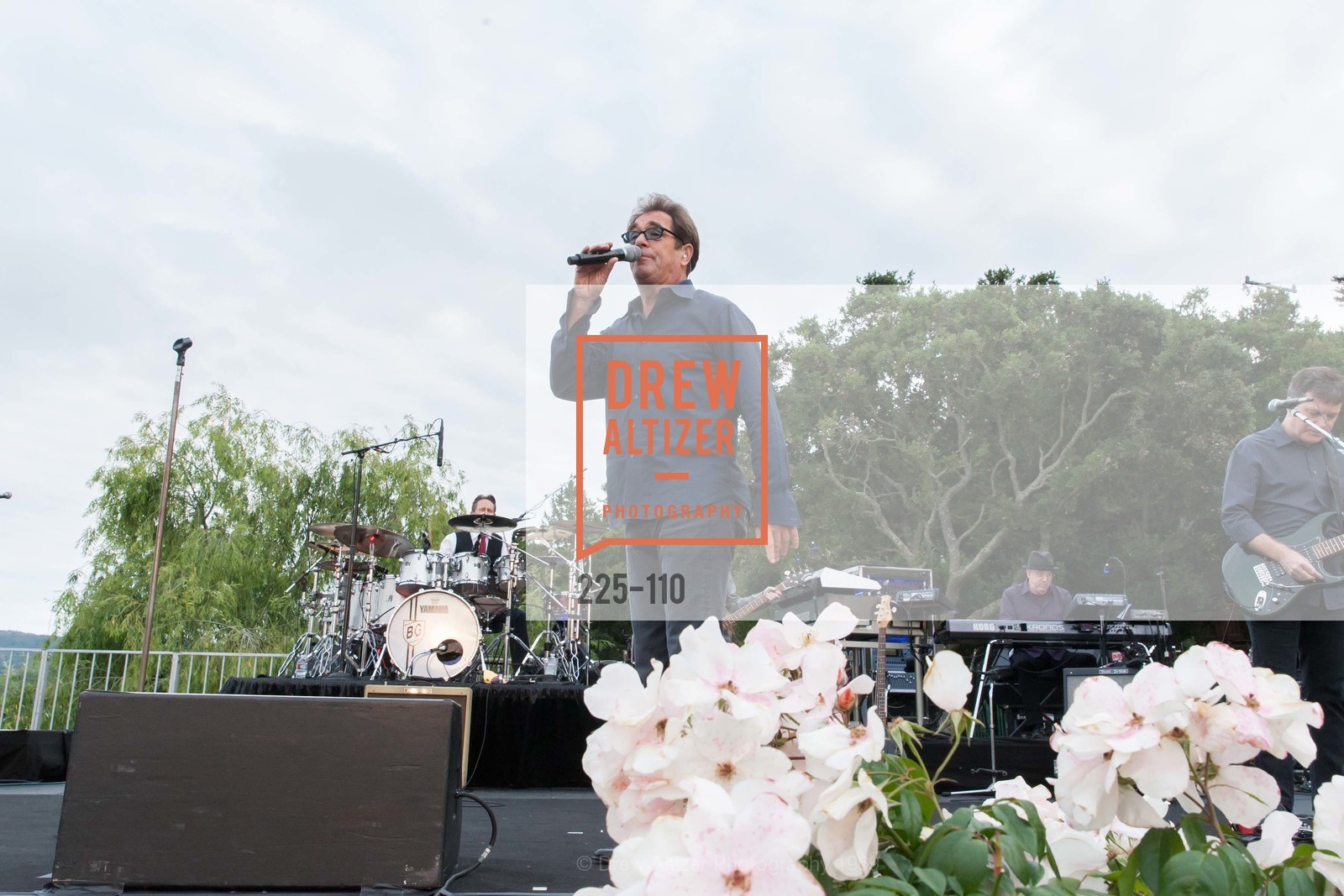 Performance By Huey Lewis And The News, LYME AID 2015 Benefiting the Bay Area Lyme Foundation, Private Residence, May 16th, 2015,Drew Altizer, Drew Altizer Photography, full-service event agency, private events, San Francisco photographer, photographer California