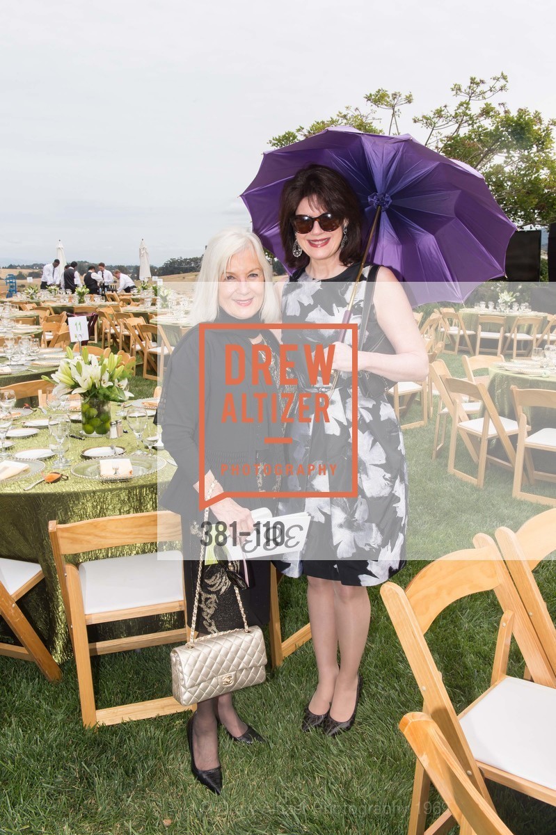 Arlene Inch, Elaine Mellis, LYME AID 2015 Benefiting the Bay Area Lyme Foundation, Private Residence, May 16th, 2015,Drew Altizer, Drew Altizer Photography, full-service agency, private events, San Francisco photographer, photographer california