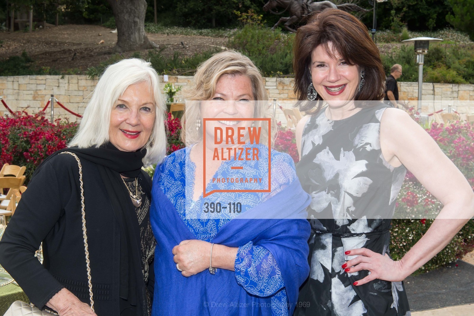 Arlene Inch, Linda Giampa, Elaine Mellis, LYME AID 2015 Benefiting the Bay Area Lyme Foundation, Private Residence, May 16th, 2015,Drew Altizer, Drew Altizer Photography, full-service agency, private events, San Francisco photographer, photographer california