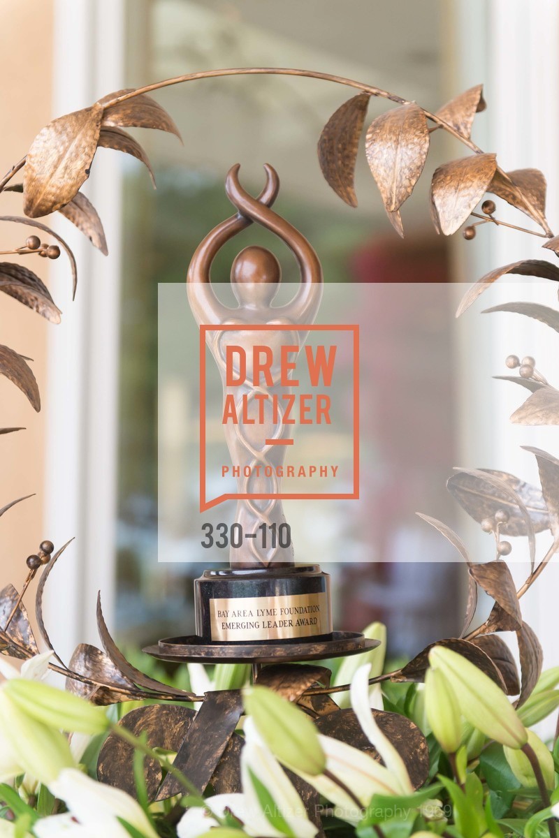 Extras, LYME AID 2015 Benefiting the Bay Area Lyme Foundation, May 16th, 2015, Photo,Drew Altizer, Drew Altizer Photography, full-service agency, private events, San Francisco photographer, photographer california
