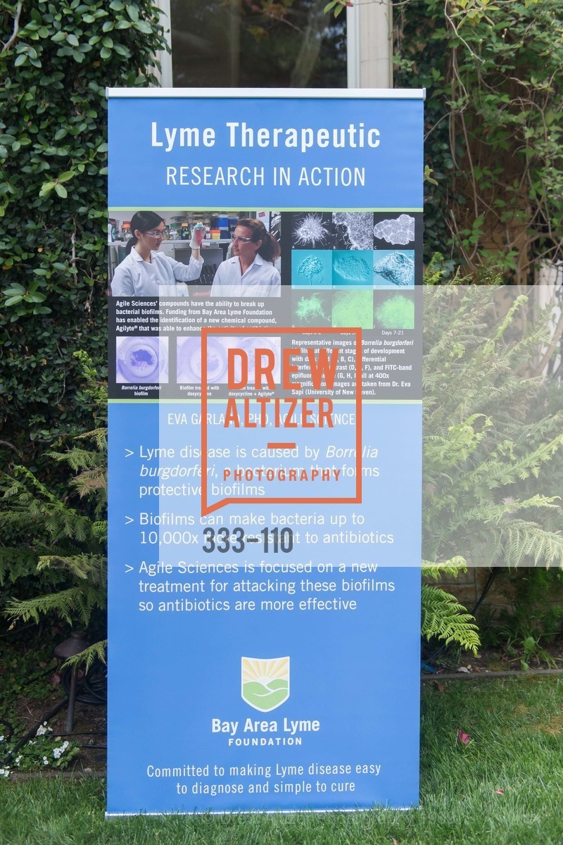 Extras, LYME AID 2015 Benefiting the Bay Area Lyme Foundation, May 16th, 2015, Photo,Drew Altizer, Drew Altizer Photography, full-service agency, private events, San Francisco photographer, photographer california