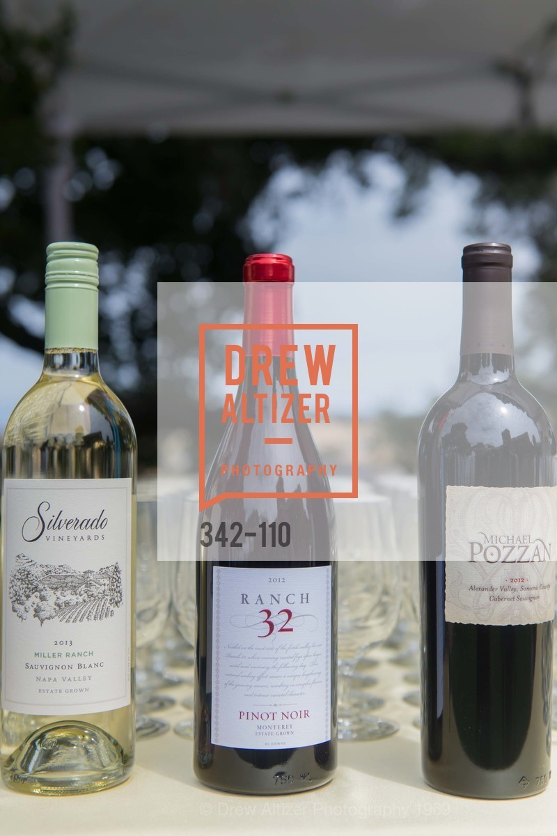 Extras, LYME AID 2015 Benefiting the Bay Area Lyme Foundation, May 16th, 2015, Photo,Drew Altizer, Drew Altizer Photography, full-service agency, private events, San Francisco photographer, photographer california