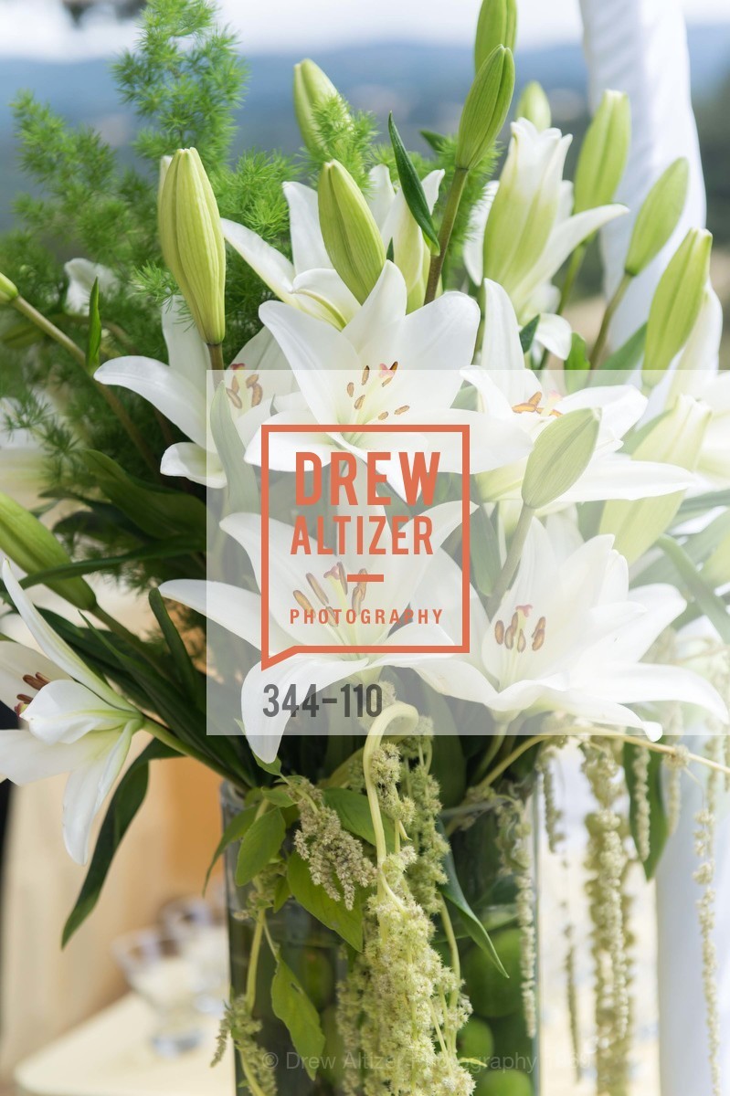 Extras, LYME AID 2015 Benefiting the Bay Area Lyme Foundation, May 16th, 2015, Photo,Drew Altizer, Drew Altizer Photography, full-service agency, private events, San Francisco photographer, photographer california