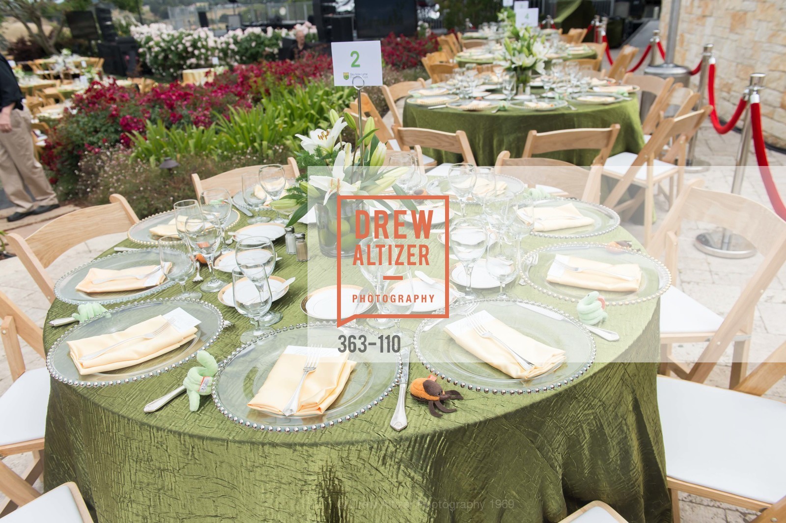 Extras, LYME AID 2015 Benefiting the Bay Area Lyme Foundation, May 16th, 2015, Photo,Drew Altizer, Drew Altizer Photography, full-service agency, private events, San Francisco photographer, photographer california