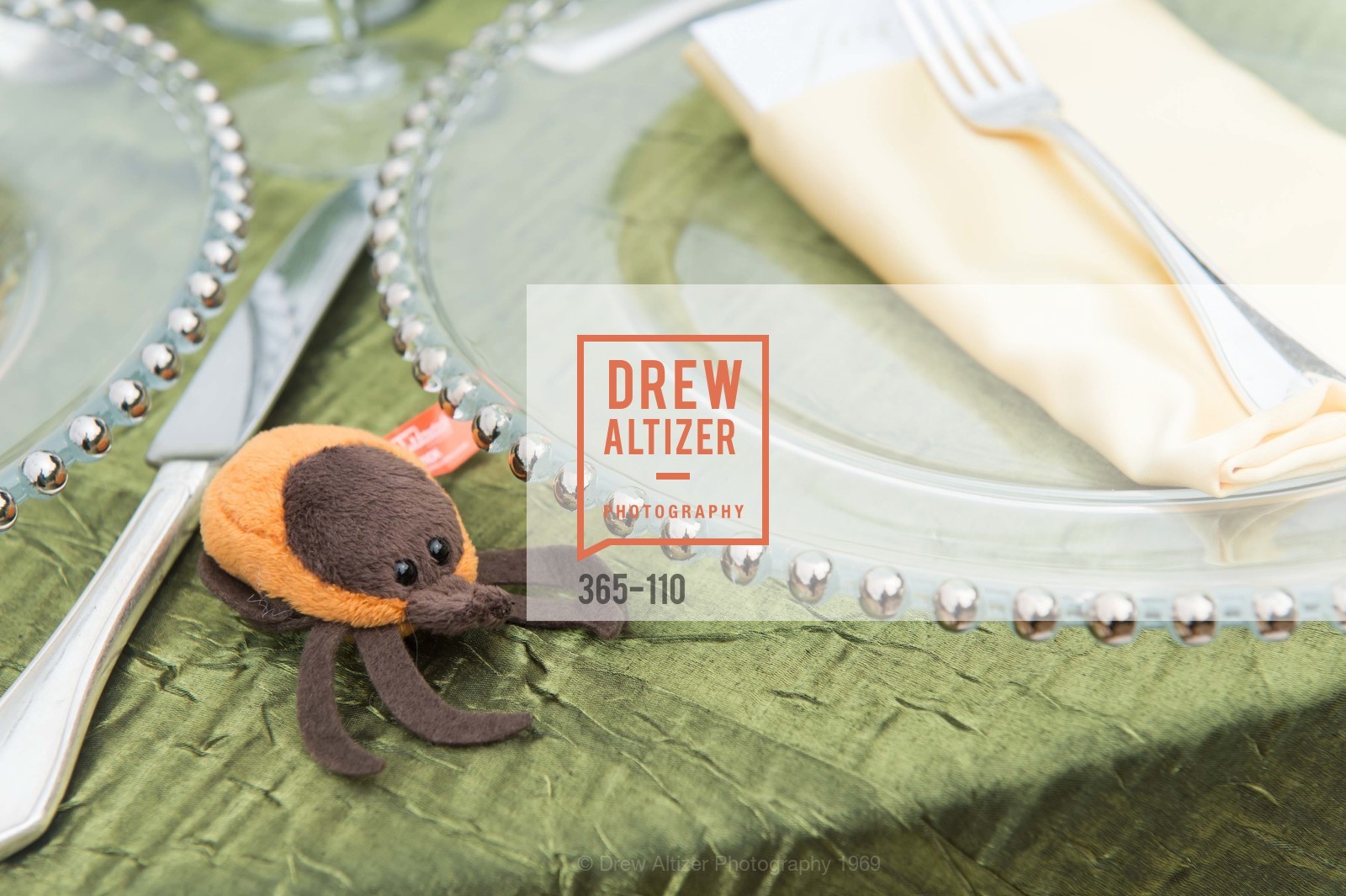 Extras, LYME AID 2015 Benefiting the Bay Area Lyme Foundation, May 16th, 2015, Photo,Drew Altizer, Drew Altizer Photography, full-service agency, private events, San Francisco photographer, photographer california
