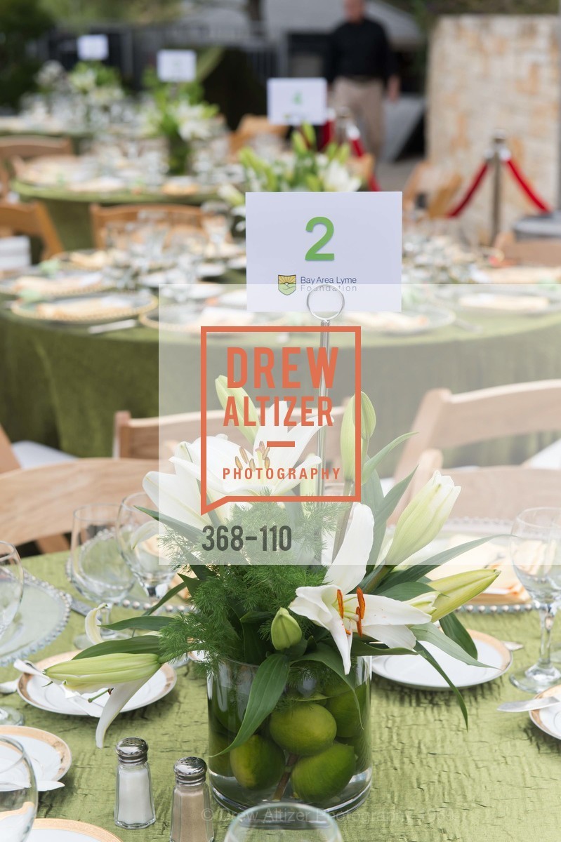 Extras, LYME AID 2015 Benefiting the Bay Area Lyme Foundation, May 16th, 2015, Photo,Drew Altizer, Drew Altizer Photography, full-service agency, private events, San Francisco photographer, photographer california