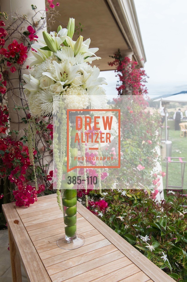 Extras, LYME AID 2015 Benefiting the Bay Area Lyme Foundation, May 16th, 2015, Photo,Drew Altizer, Drew Altizer Photography, full-service agency, private events, San Francisco photographer, photographer california