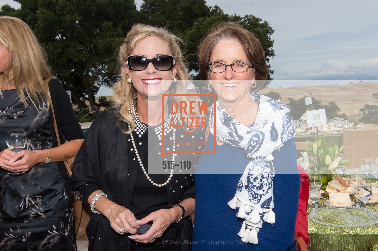 Eileen Morgenthaler, Elizabeth Sippel, LYME AID 2015 Benefiting the Bay Area Lyme Foundation, Private Residence, May 16th, 2015,Drew Altizer, Drew Altizer Photography, full-service agency, private events, San Francisco photographer, photographer california